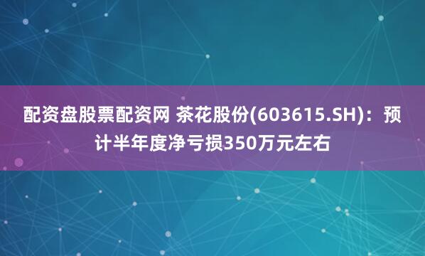 配资盘股票配资网 茶花股份(603615.SH)：预计半年度净亏损350万元左右