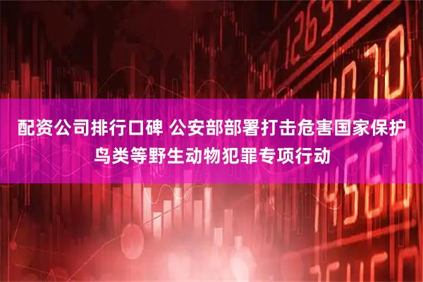 配资公司排行口碑 公安部部署打击危害国家保护鸟类等野生动物犯罪专项行动